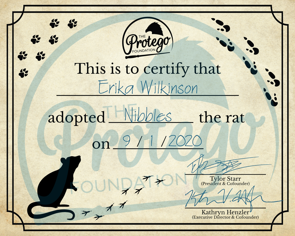 Sample adoption certificate for Nibbles the Rat, featuring Protego's logo, paw prints, and a black silhouette of a rat. 